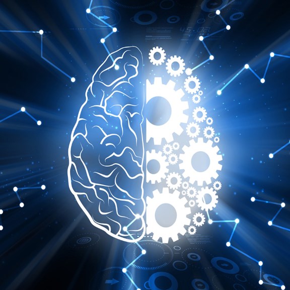 brain image